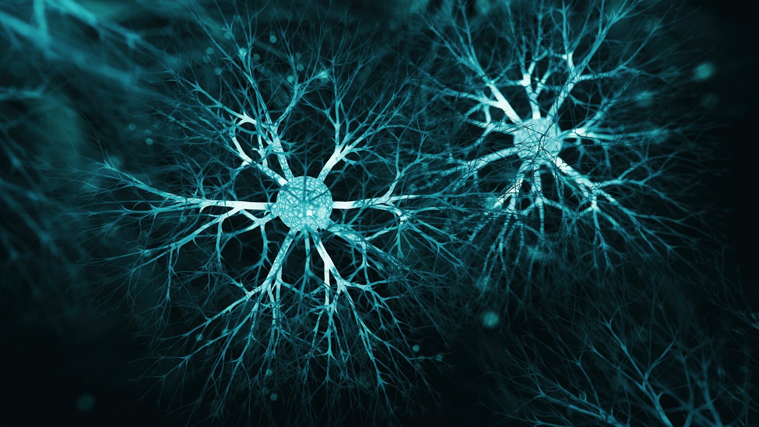 Neuron system